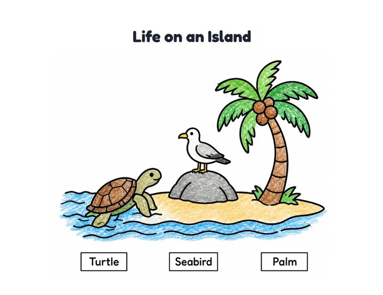 Life on an Island worksheet (Easy, Pre-K–K)