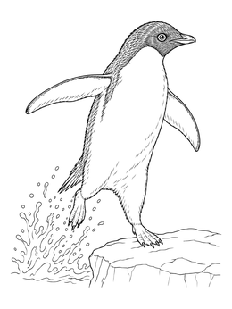 An active penguin coloring page showing a penguin leaping from splashing water onto an icy rock ledge.