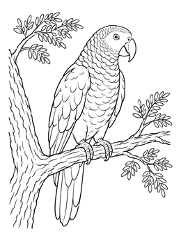 An African grey parrot coloring page perched peacefully on a detailed tree branch.