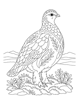 Free printable Willow Ptarmigan On Alaskan Tundra coloring page