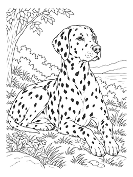 An alert dalmatian coloring page resting in a grassy outdoor landscape with a tree.