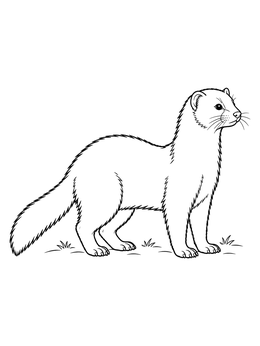 An alert mink standing in profile on grassy ground on this mink coloring page.