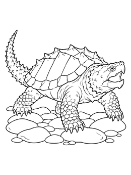 An alligator snapping turtle coloring page walking across smooth river rocks with mouth open.