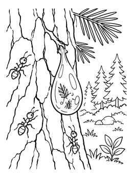 Free printable Resin Drop On Pine Tree Bark coloring page