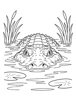An american alligator coloring page showing its head and back emerging from swamp water with cattails.