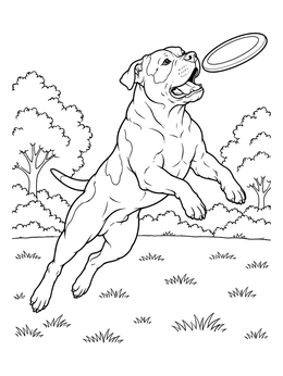 An energetic dog leaps in this American bulldog coloring page to catch a flying disc in the park.