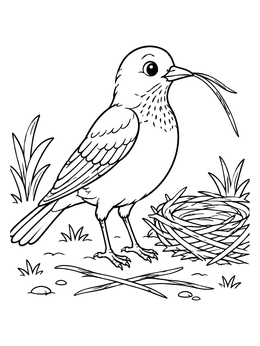 Free printable Robin Building A Nest With Grass coloring page