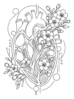 A detailed heart anatomy coloring page featuring cherry blossoms growing inside an anatomical heart.