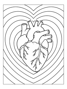 An anatomical heart coloring page centered within radiating heart-shaped outlines.