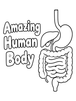 Free printable Amazing Human Body Digestive System coloring page