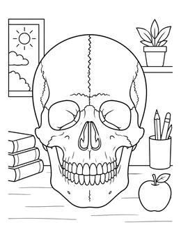 Free printable Human Skull On Study Desk coloring page