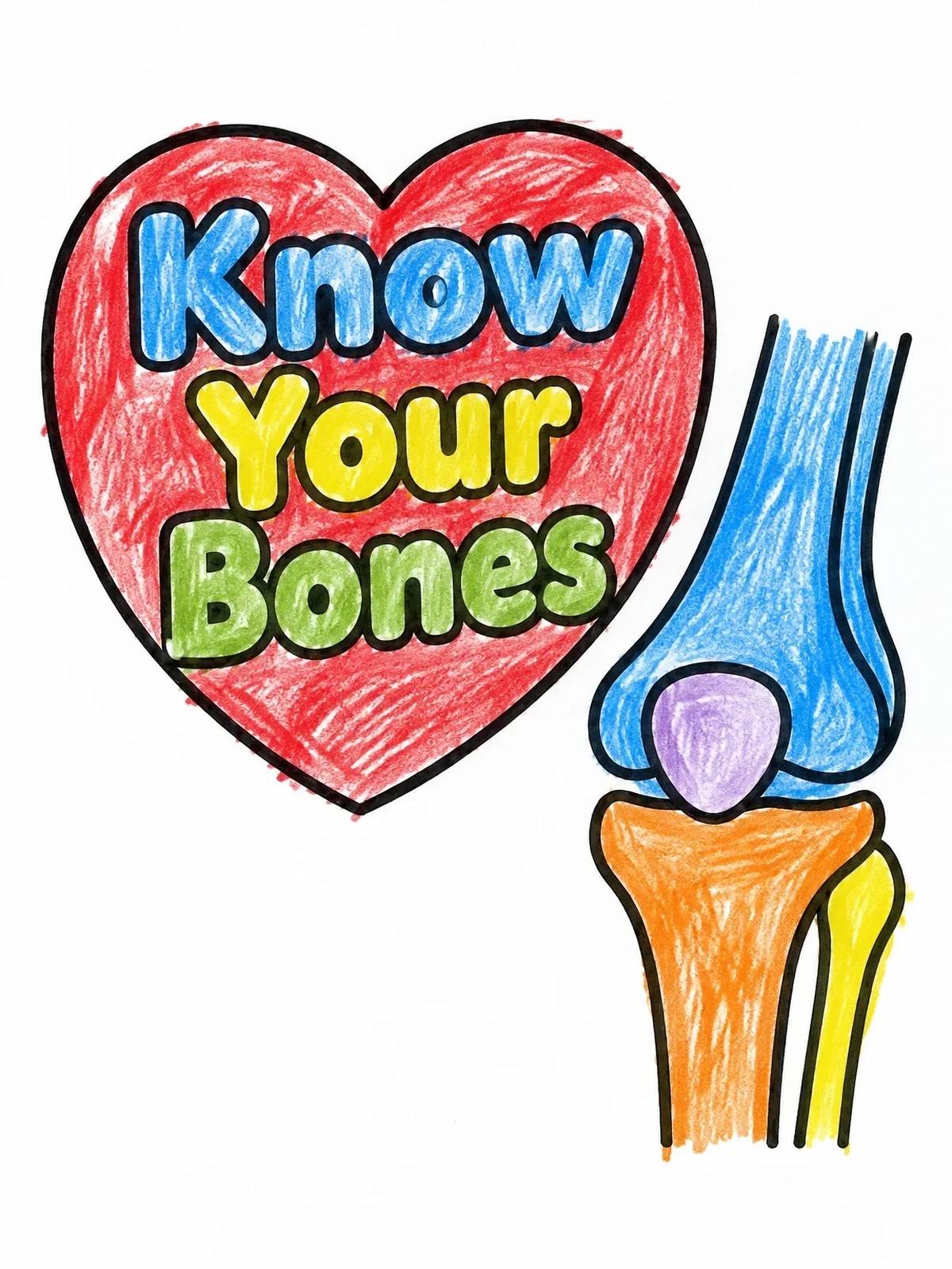 Colored example of the Know Your Bones Knee Joint coloring page