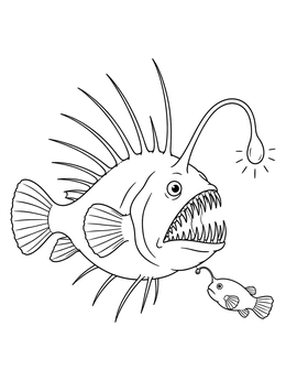 An angler fish coloring page featuring a large female deep-sea fish and a tiny male companion.