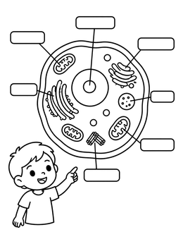 Free printable Animal Cell Diagram With Curious Boy coloring page
