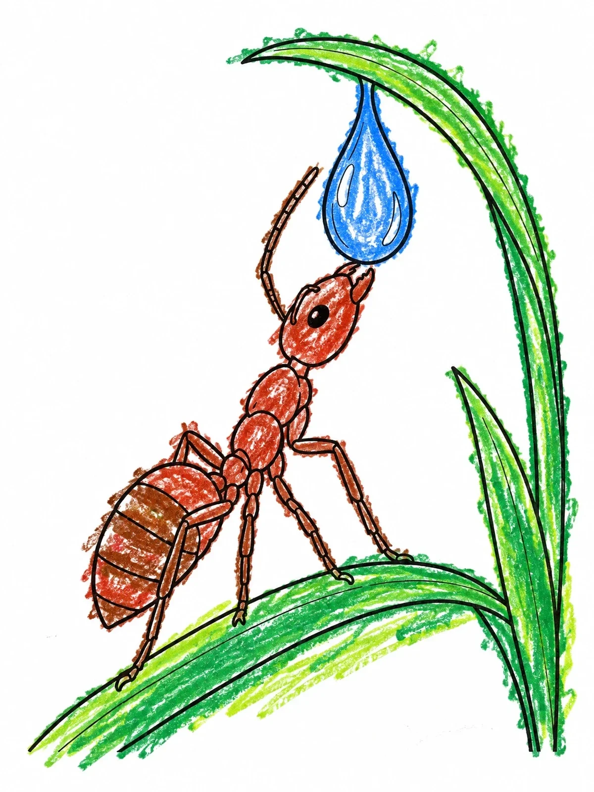 Colored example of the Ant Drinking Dewdrop On Grass coloring page
