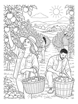 An apple picking coloring page featuring people harvesting ripe fruit in a sunny orchard.