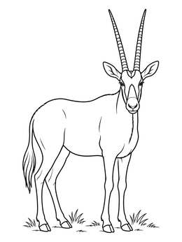 Free printable Arabian Oryx Standing In Grass coloring page