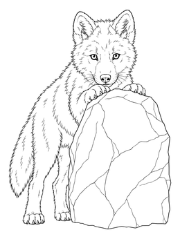 Arctic Wolf Pup Behind Ice Boulder coloring page