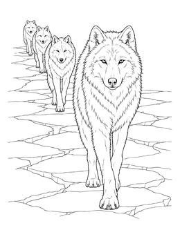 A pack of wolves walks in line on this arctic wolf coloring page.