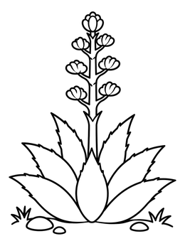 Free printable Blooming Desert Agave Plant coloring page