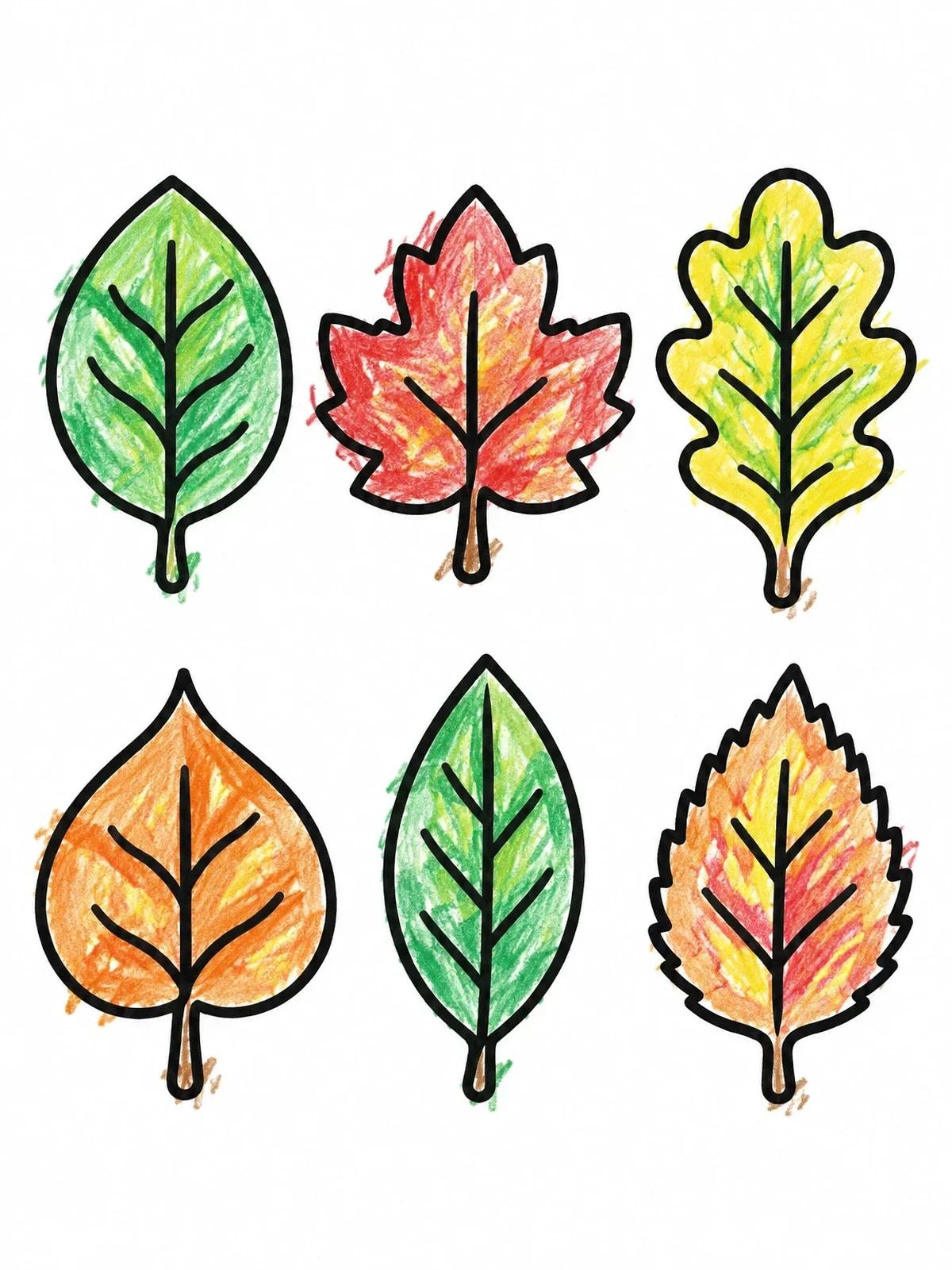 Colored example of the Assorted Tree Leaves Collection coloring page
