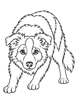 Free printable Attentive Border Collie Crouching Forward coloring page