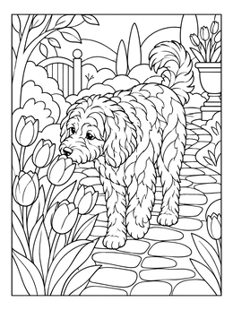 Free printable Aussiedoodle Sniffing Garden Tulips coloring page
