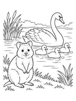 A smiling quokka near water in this australian animals coloring page.