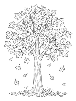 An autumn tree with falling foliage in this deciduous forest coloring page.