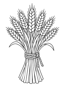 A tied bundle of ripe grain stalks on this harvest coloring page.
