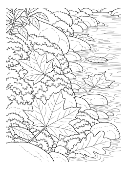 Detailed stream bank with maple and oak leaves coloring page.