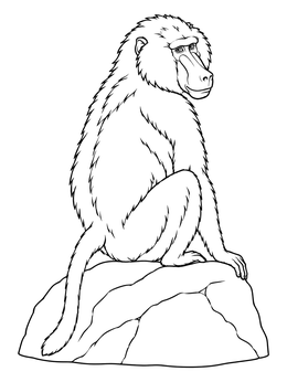 A detailed baboon coloring page showing the animal looking back over its shoulder while sitting on a rock.