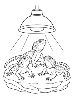 Three lizards warm up together on this bearded dragon coloring page.