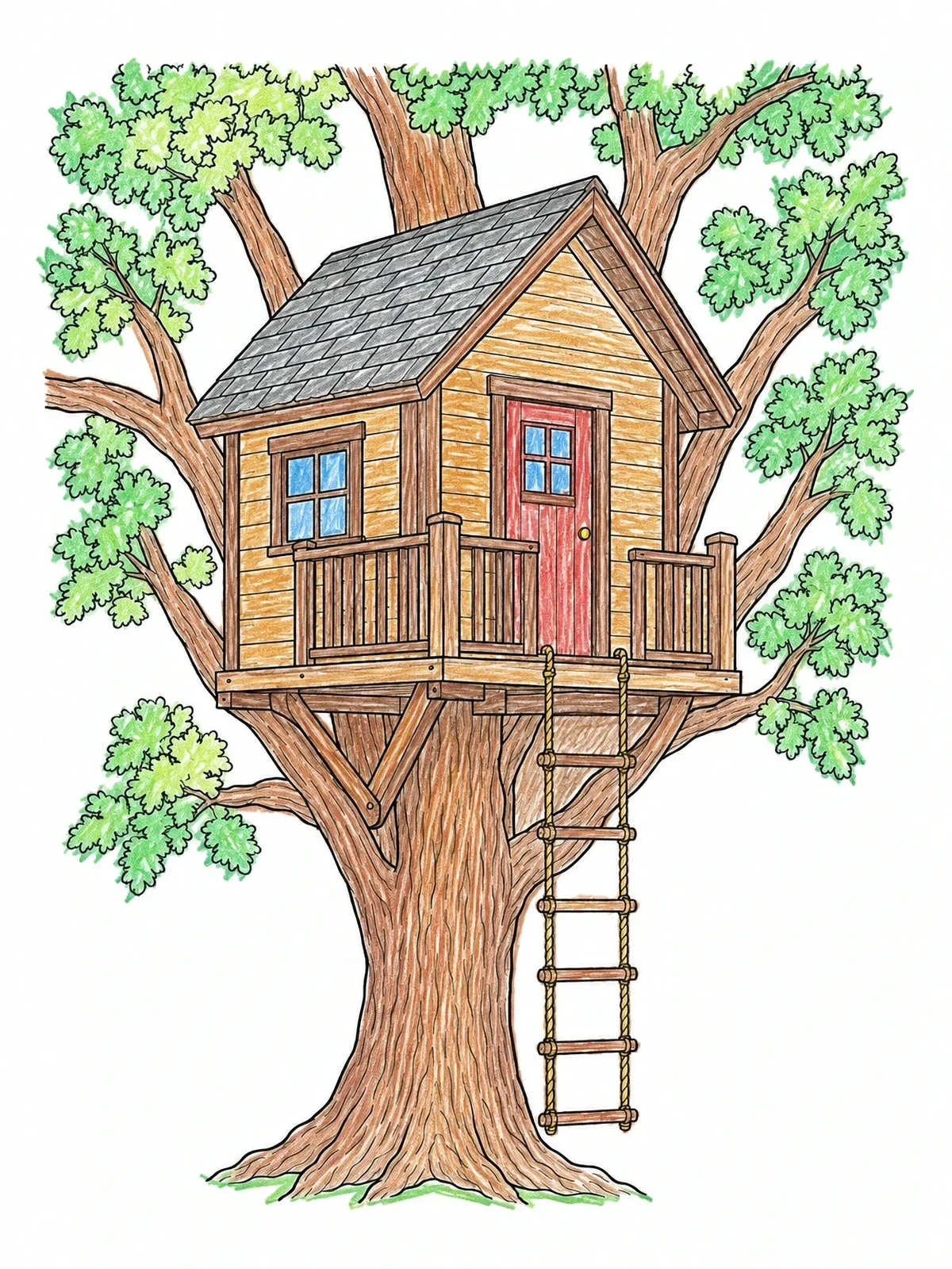 Colored example of the Backyard Treehouse With Rope Ladder coloring page