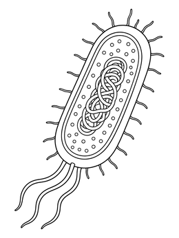 Free printable Bacterial Cell Anatomy With Nucleoid coloring page