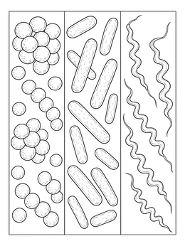 Free printable Bacterial Shapes Comparison Chart coloring page