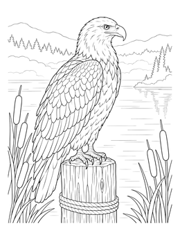 A majestic bird sits lakeside in this detailed bald eagle coloring page.