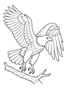 A bald eagle coloring page showing the majestic bird spreading its wings above a tree branch.