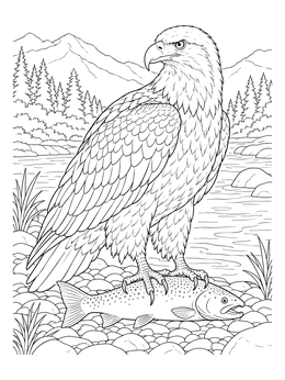 A realistic bald eagle coloring page showing the bird perched on a caught fish by a scenic river.