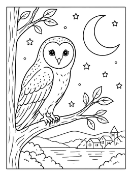 Free printable Barn Owl Under Crescent Moon coloring page