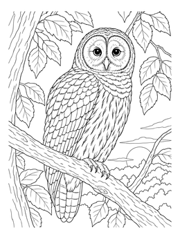 A detailed barred owl sits perched in this deciduous forest coloring page.