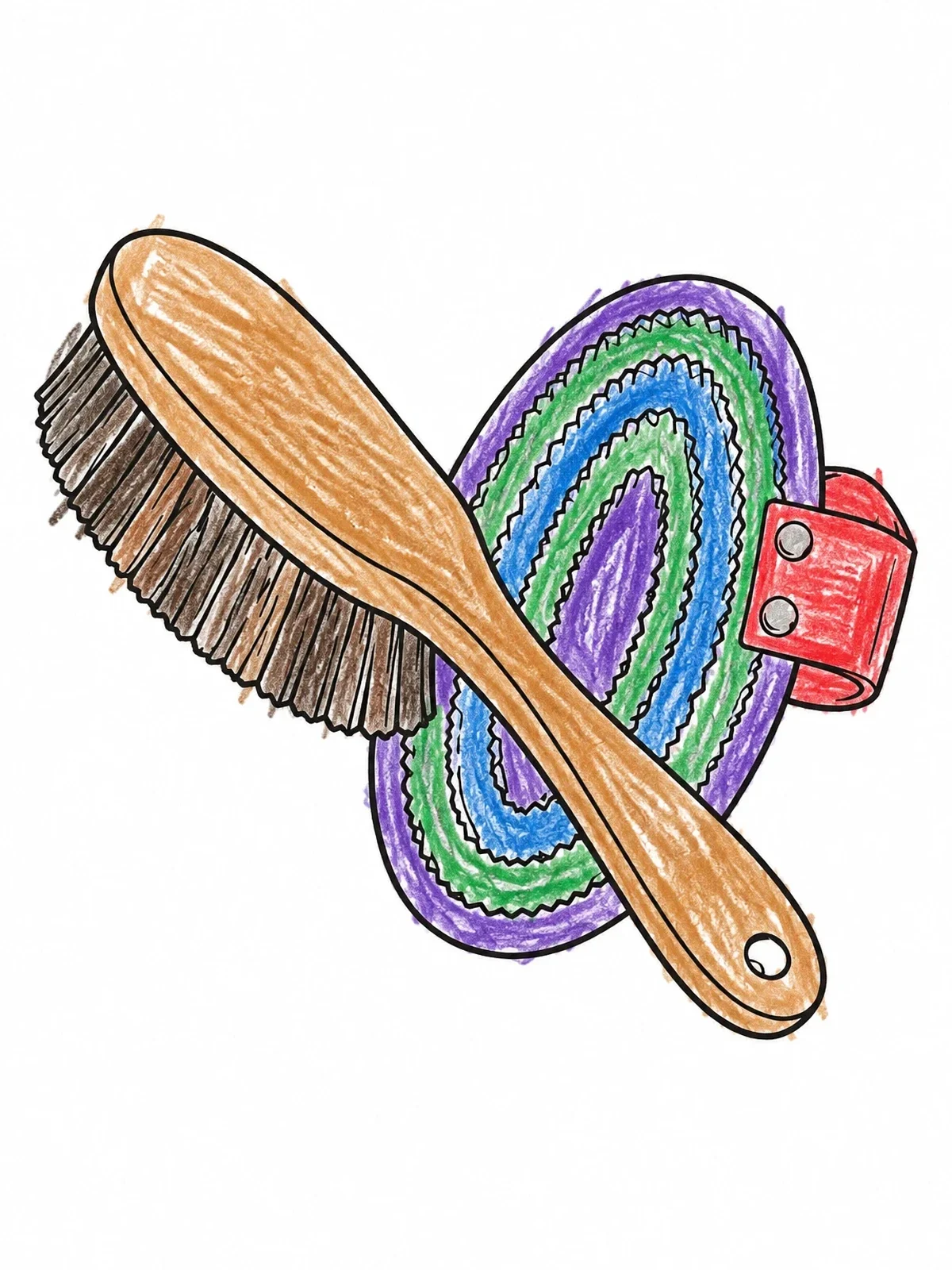 Colored example of the Horse Grooming Brush And Curry Comb coloring page