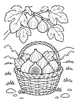 Free printable Basket Of Fresh Figs Under Branch coloring page