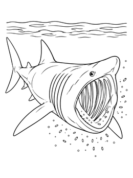 Detailed shark coloring page showing a basking shark swimming with its wide mouth open near the surface.