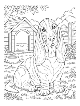 Free printable Basset Hound In Backyard With Doghouse coloring page