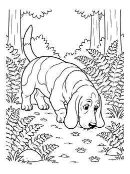 Free printable Basset Hound Tracking Scent In Forest coloring page