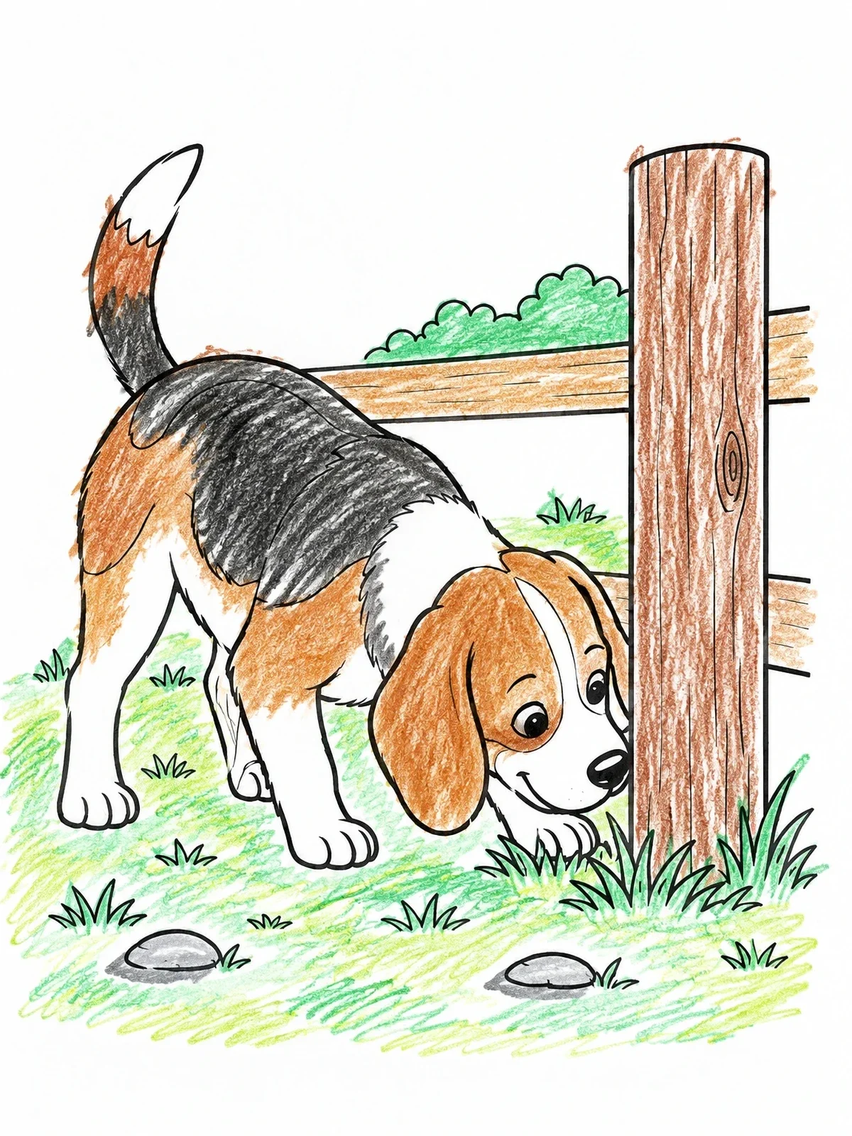 Colored example of the Beagle Sniffing By The Wooden Fence coloring page