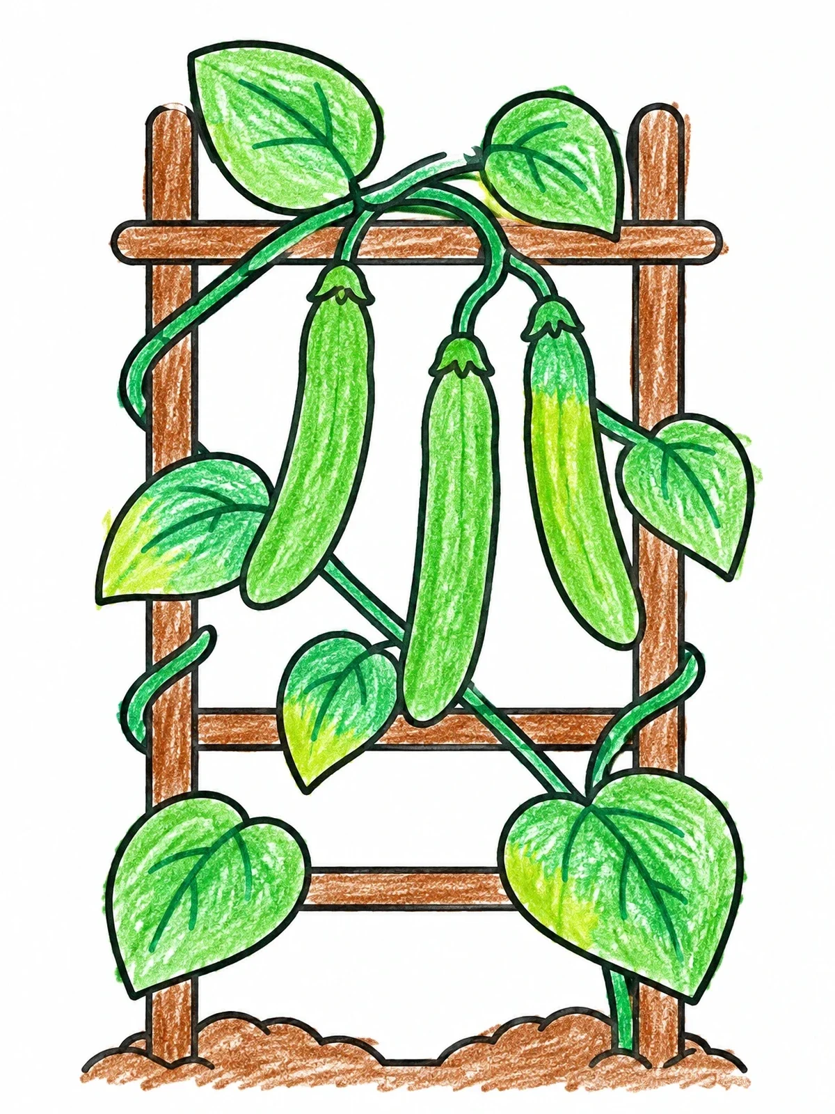 Colored example of the Bean Vine On A Garden Trellis coloring page