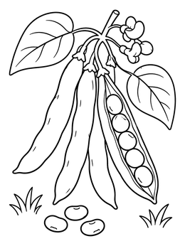 Free printable Fresh Green Bean Pods On Vine coloring page