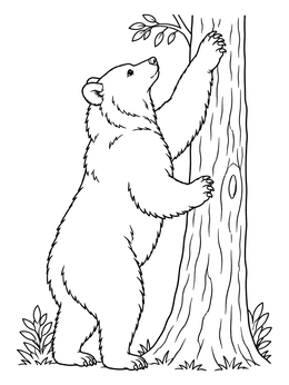 A large bear coloring page shows the animal standing on hind legs reaching up a tree.